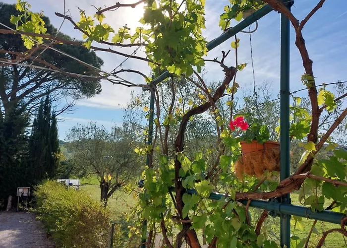 Vento E Mare 3* Riotorto