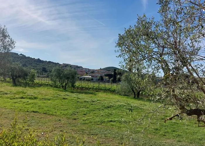 Bed & Breakfast Vento E Mare